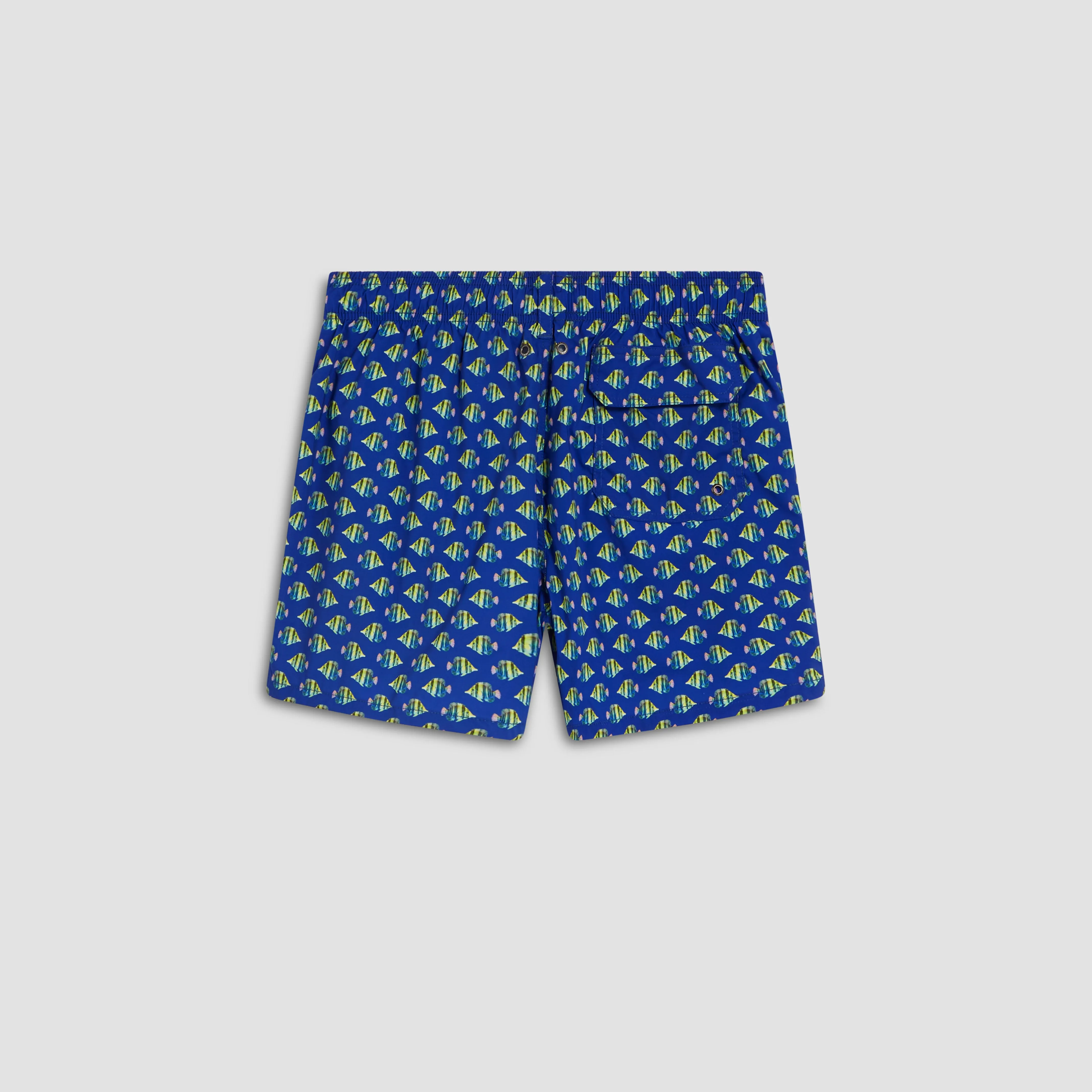 Archer Striped Fish Swim Trunks