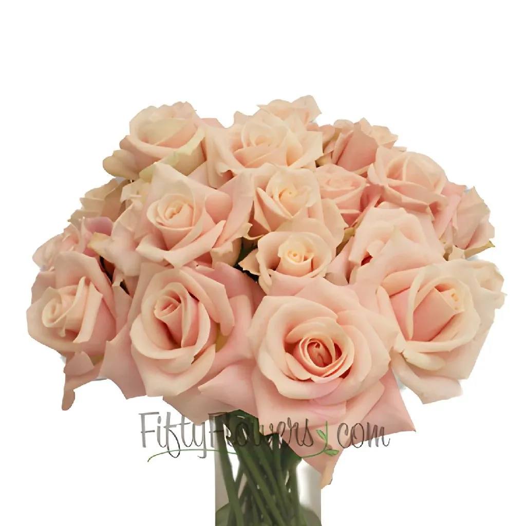 Ballet Blonde Sweetheart Roses